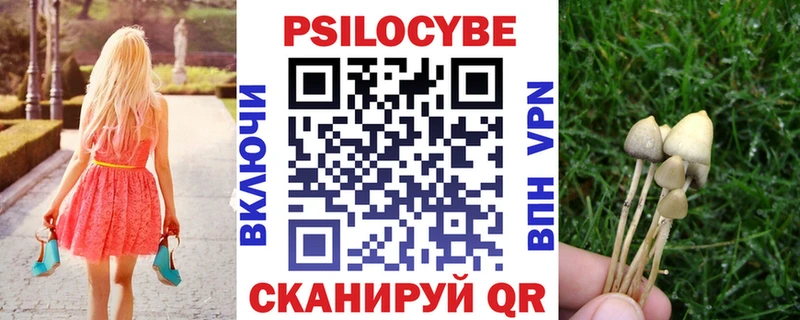 Псилоцибиновые грибы Psilocybine cubensis  сайты даркнета клад  Ядрин 